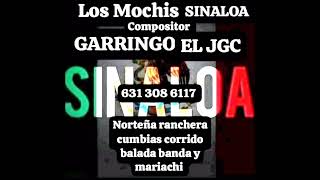 el corrido de Martin morales garringo el jgc [upl. by Eneles]