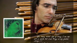 Pirastro Strings for violin Evah Pirazzi [upl. by Norby584]