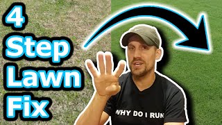 Beginner Lawn Care Tips  How To Improve Your Lawn in 4 Easy Steps  Lawn Motivation [upl. by Switzer]