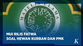 Perhatikan Fatwa MUI Soal Hewan Kurban dan PMK Jelang Idul Adha [upl. by Redman176]