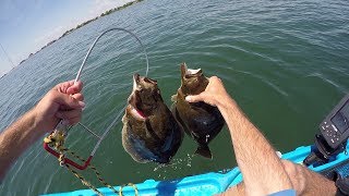 Kayak Flounder Fishing with Small Soft Plastics [upl. by Atem824]