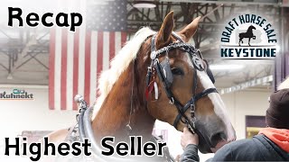 Recap amp Highest Seller from the Keystone Draft Horse Sale [upl. by Meluhs]