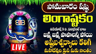 లింగాష్టకం  LINGASHTAKAM MONDAY SPECIAL POWERFUL BHAKTI SONGS 2024 [upl. by Ymorej]