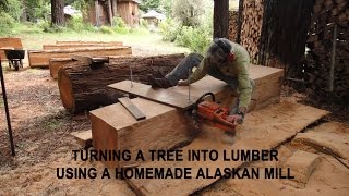 Turning a tree into lumber using a homemade Alaskan Mill [upl. by Elleinad780]