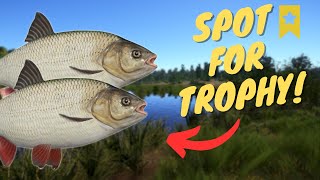 IDE SPOT IN MOSQUITO LAKE FOR CLOSING TROPHY 909 Russian fishing 4 [upl. by Mcdonald]