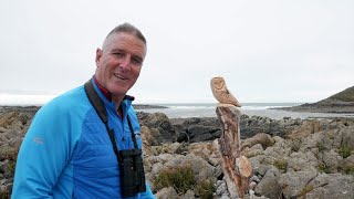 Autumn Safari in Swansea Bay with Iolo Williams  South Gower [upl. by Kurr]