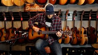 Breedlove Discovery Concertina  Review [upl. by Ivory]