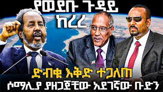 ድብቁ እቅድ ተጋለጠሶማሊያ ያዘጋጀችው አደገኛው ቡድንየወደቡ ጉዳይ ከረረ [upl. by Veljkov764]