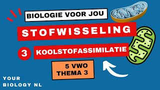 5 vwo  Stofwisseling  3  Koolstofassimilatie  Fotosynthese [upl. by Dolloff33]