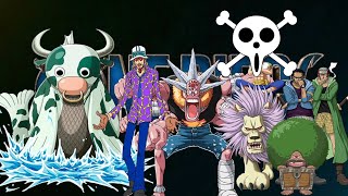 Los personajes que no aparecen OP Live Action onepiece manga anime [upl. by Maddi]