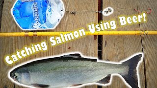 Catching Salmon Using Beer [upl. by Uahc]