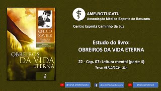 22 ANDRÉ LUIZ Obreiros da vida eterna – Capítulo 07 – Leitura mental parte 4 [upl. by Edi]