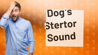 What does a dogs stertor sound like [upl. by Dolorita]