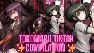 ✨TOKOMARU TIKTOK COMPILATION ✨ [upl. by Gun]