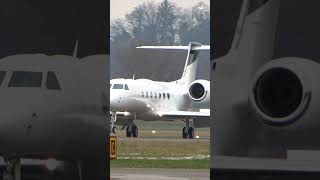 Gulfstream G550 PSCAT Landing in Bern Switzerland [upl. by Aniat]