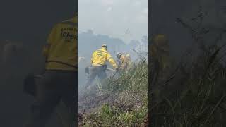 Fogo consome vegetação da Reserva Verde Para Sempre no município de Porto de Moz Pará [upl. by Erickson]