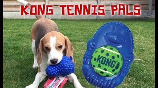 Dog Toy Critic quotLouie The Beaglequot Episode 7  KONG TENNIS PALS [upl. by Nilad801]