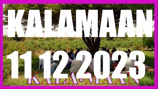 KALAMAAN 11 DECEMBER 2023 [upl. by Yendys46]