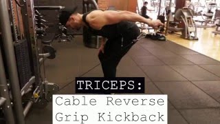 Triceps Cable Reverse Grip Kickback [upl. by Ellenid]