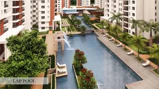 Signature Global Daxin Vistas Sohna Gurgaon  Make Yourself At Home [upl. by Wawro713]