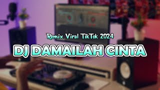 DAMAILAH CINTA  DJ Remix Terbaru 2024 [upl. by Duthie712]