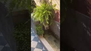 WhatsApp Video 2024 07 16 at 12 42 02 realestate venta casaventa property [upl. by Acemat]