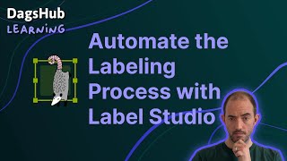 Automate the Labeling Process with Label Studio and DagsHub [upl. by Lahey]