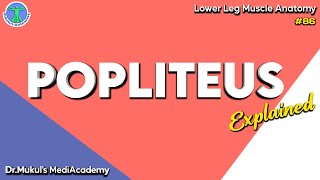 Popliteus Muscle Everything you need to knowlower Leg Muscle Anatomy86 [upl. by Krishnah]