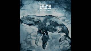 Cosmo Sheldrake  Nekton [upl. by Atnoid25]