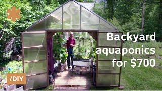 Backyard aquaponics DIY system to farm fish with vegetables [upl. by Erdnaet646]