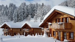 1080p Video Chalet Hotel Ahorn [upl. by Grunberg772]