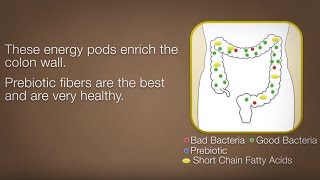 Ulcerative Colitis Management amp Prebiotics [upl. by Estas]