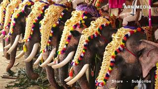 Tripunithura Utsavam 2018  Thirumunbil Melam  Peruvanam Kuttan Marar [upl. by Blandina910]