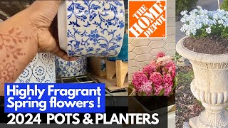 HOMEDEPOT Pots amp Planters 2024 Plantshopping amp Planting CANDYTUFT Flower [upl. by Alma]