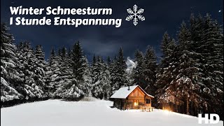 ❄️ Blizzard amp Schneesturm ❄️ Winter Geräusche 🔈 perfekt zum einschlafen 🌨 [upl. by Akem]