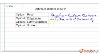 Ochreate stipules occur in [upl. by Siffre402]