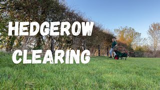 Hedgerow Clearing amp Eating Your Frog  Smallholding Life Ramble [upl. by Lyndsay]