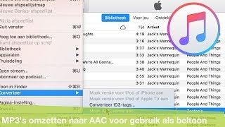 MP3 bestanden omzetten naar AAC met iTunes [upl. by Calendre]