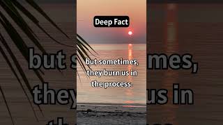 facts lofi chill facts relationshipadvice psychologyfacts motivation word relationship [upl. by Liba]