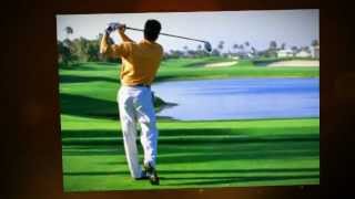 The Simple Golf Swing Guide Review  Testimonial by David Nevogt [upl. by Kinsman420]