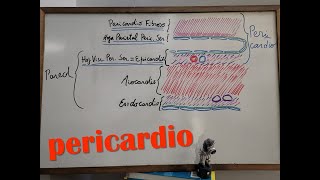 Sistema Cardiovascular 4  Pericardio [upl. by Kinelski241]