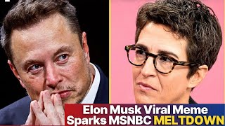 Elon Musk VIRAL MEME Sparks MSNBC Meltdown [upl. by Asek]