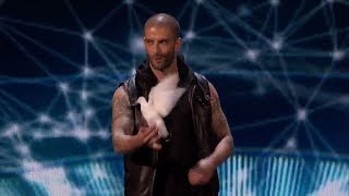 Darcy Oake  Dove Magic [upl. by Phipps]