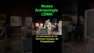 👌 Museo Antropológico Ciudad de México 🇲🇽 [upl. by Rew392]