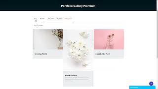 Portfolio Filter Gallery Wordpress Plugin [upl. by Karen]