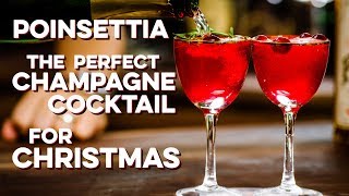 Poinsettia  How to Drink [upl. by Gratt]