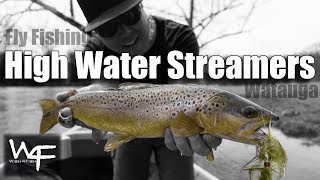 W4F  Fly Fishing quotHigh Water Streamersquot Watauga River Tennessee [upl. by Trahern953]