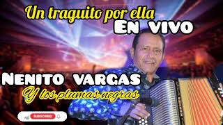 UN TRAGUITO POR ELLAEN VIVO  NENITO VARGAS Y LOS PLUMAS NEGRAS 2023 [upl. by Googins]