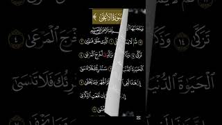 Quran Kareem ki telwath so beautiful voice islamevideo [upl. by Sabas835]