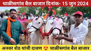 चाळीसगांव बैल बाजार दिनांक 15 जुन 2024  Chalisgaon bail bazar [upl. by Downs92]